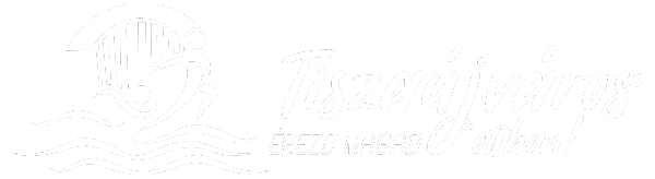 Tiszaújváros logó dekoráció